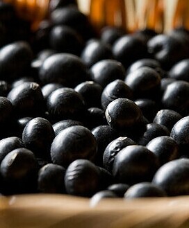 黑豆的功效与作用及食用方法,小黑豆大营养