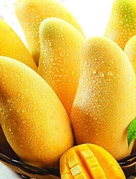 芒果的功效与作用,吃芒果有什么好处