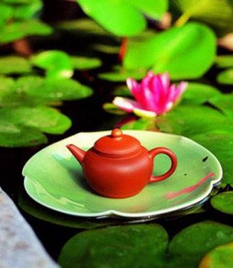 喝茶的好处,春季养肝很重要泡药茶有讲究