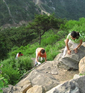 爬山注意事项,爬山后腿部酸疼怎么办？