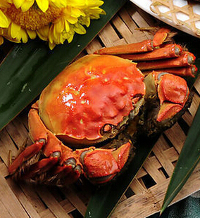 孕妇可以吃大闸蟹吗,秋季吃大闸蟹的禁忌