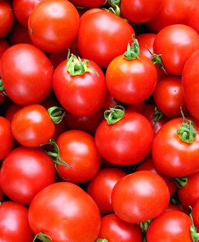 西红柿的营养,西红柿的饮食禁忌