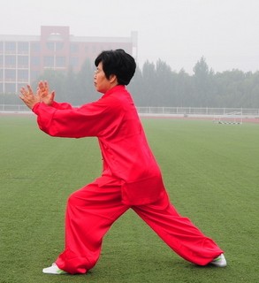 武当太极拳,武当太极拳十三式的招式