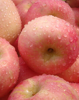 吃苹果的好处,苹果可保健解酒治腹泻