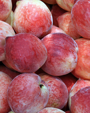孕妇能吃桃子吗,孕妇过量食桃子可致流产