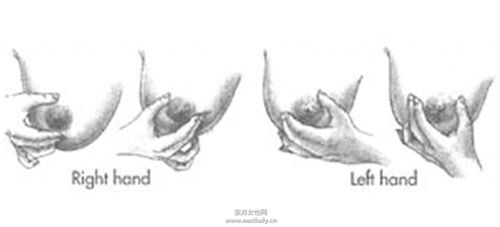 徒手挤奶的说明及图示 挤出的奶水如何储存_阿拉伯挤奶法