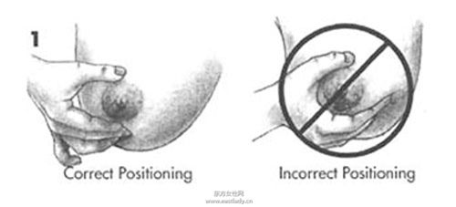 徒手挤奶的说明及图示 挤出的奶水如何储存