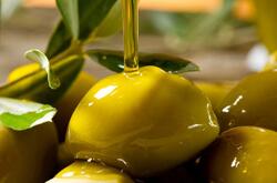 橄榄油的护发方法是什么 怎么用橄榄油保护头发