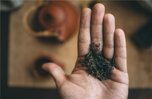 喝茶的好处和坏处