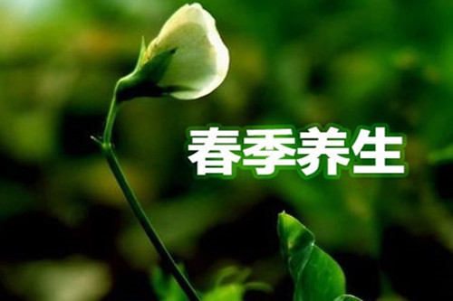 春天吃什么养生