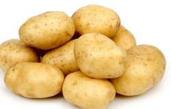 土豆长芽了还能吃吗 土豆的营养做法