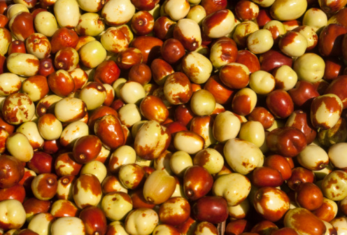 红枣的功效与作用 红枣的食用方法有哪些