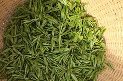 茶叶的作用哪些 有何营养价值