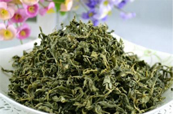 三高朋友的 选择  揭罗布麻茶的作用
