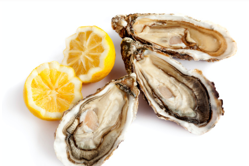 牡蛎的功效    提高免疫和性功能