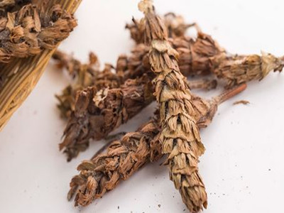 夏枯草的功效与作用