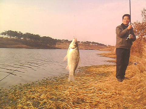 冬季釣魚技巧