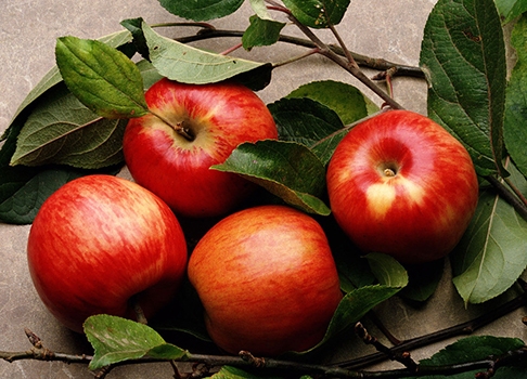 苹果减肥的原理及苹果减肥的方法介绍