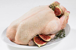 清热健脾 鸭肉的营养价值及功效介绍