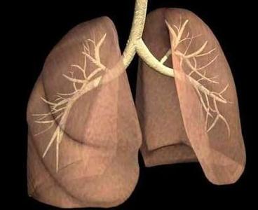 肺热的症状咳嗽治疗 润肺止咳的民间妙方