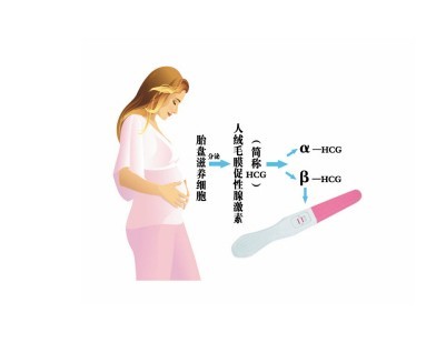 怀孕多久能测出来