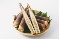 竹筍的營養價值 有著極高的藥用價值