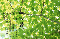 多饮暖水 大暑养生六处方和六要点介绍