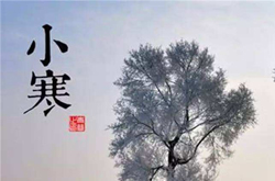 小寒养生吃什么 这几种食物让你不畏寒