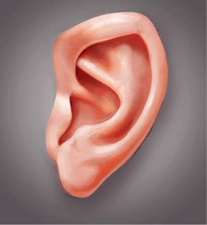 耳朵凍了怎么辦 怎么預防耳朵長凍瘡