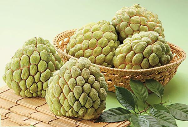 台灣特產名貴水果 釋迦怎麼吃