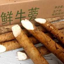 牛蒡的吃法 你知道嗎