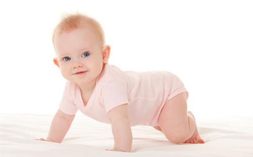 6个月宝宝早期教育 可从五大方面去尝试