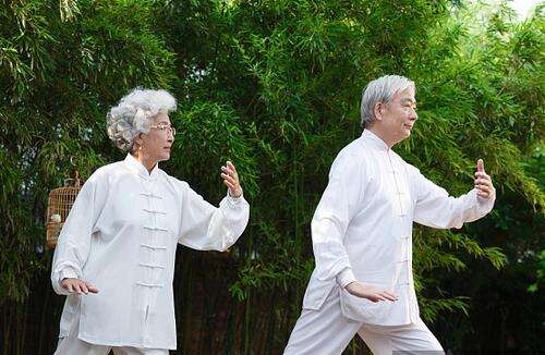 陈式太极拳老架一路   是太极拳的衍生拳法