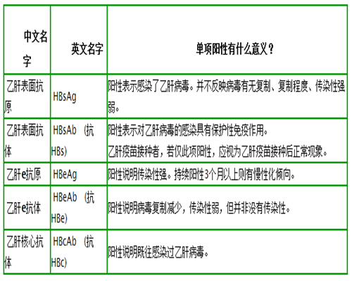 乙肝五项