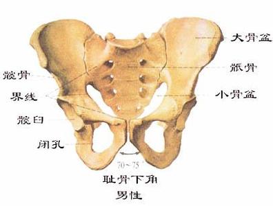 肩胛骨疼的原因以及治療偏方