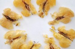 林蛙油的功效与作用 揭林蛙油的营养吃法