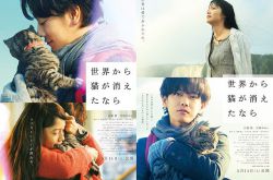 《假如猫从世界上消失》新海报 佐藤健暖心抱猫