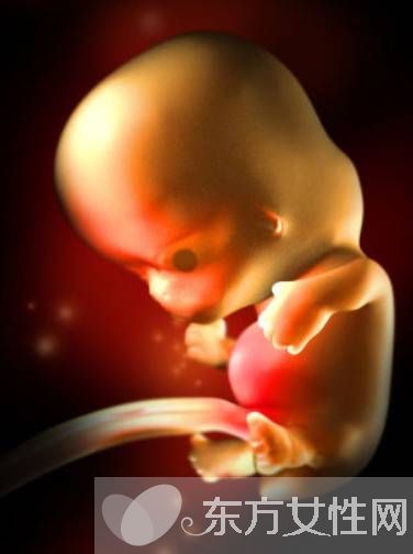 科普知识36周胎儿发育情况 胎儿发育指标