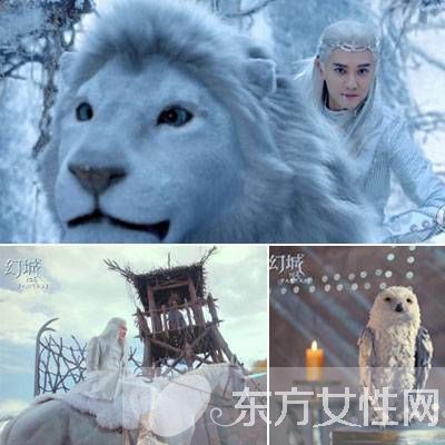 《幻城》堪称玄幻版的动物志怪录