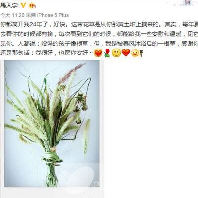 马天宇在网上发文追忆去世母亲