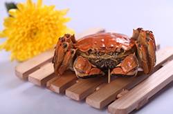 吃螃蟹的正确方法 螃蟹不能和什么一起吃