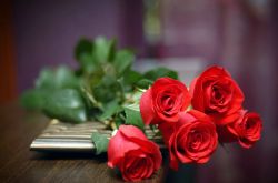 玫瑰花怎么保存时间长  玫瑰花的花语是什么