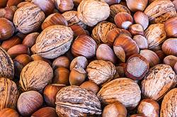 养颜美容的食物有哪些？这5种食物吃了让你永驻容颜