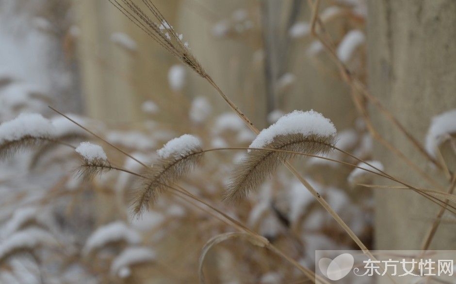 小雪节气吃什么好 小雪节气牢记六个养生常识