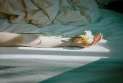 女性脱发竟然是因为这些问题 9大妙招你值得一看