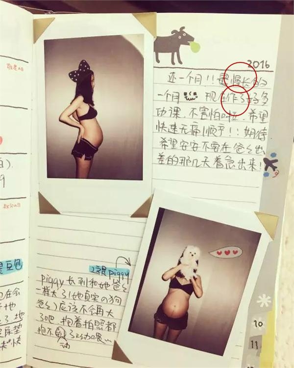张子萱怀孕日记曝光因两个字被吐槽没文化 被陈赫环抱照亮了