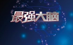 最强大脑4周章伟王峰什么关系?