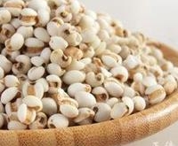 薏米养生粥怎么做 ？