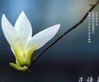 女性做到春季这六大养生原则，一年精神焕发