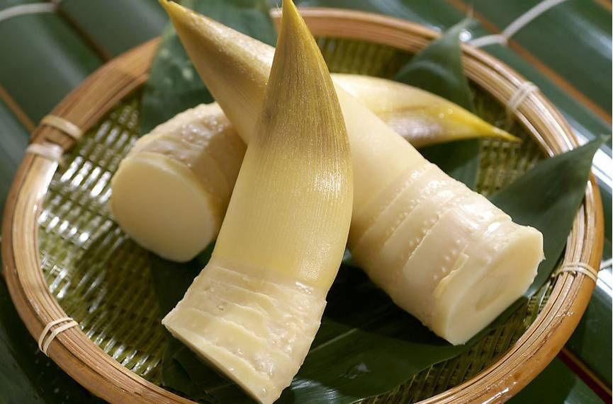 春笋的营养价值  吃良药补出好肝胆